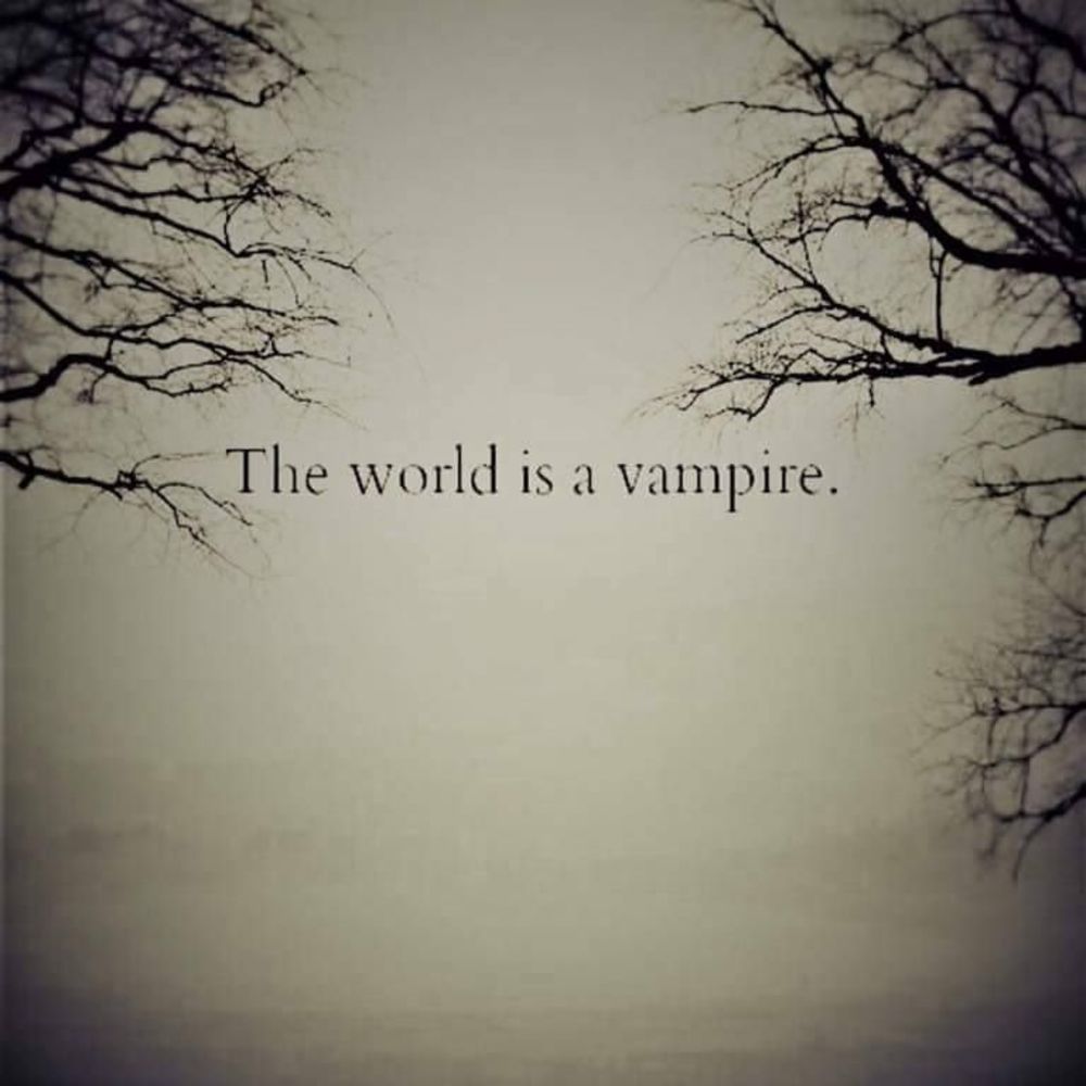 Meet your Posher, Rico